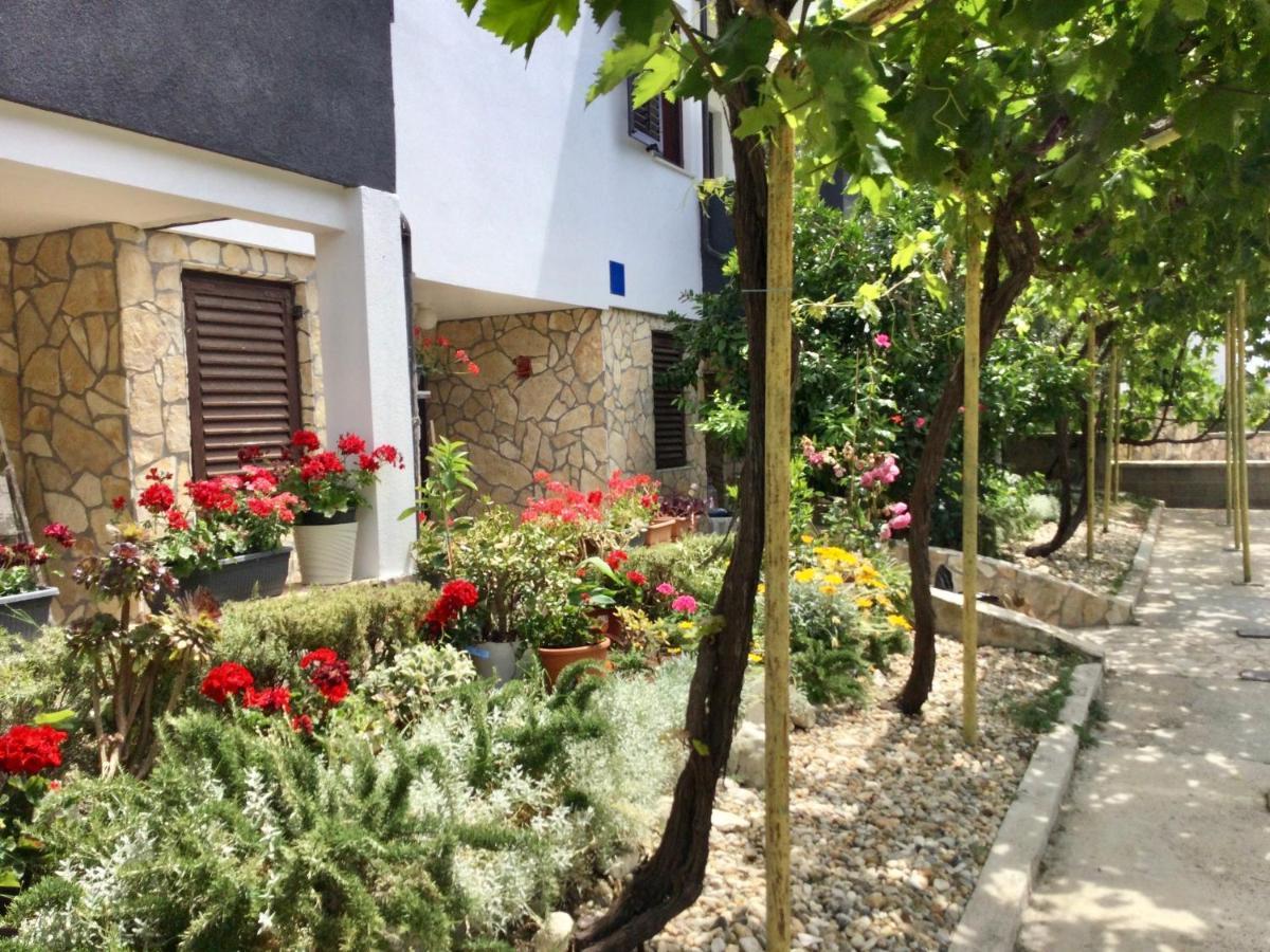 Apartments Parać Petrcane Bagian luar foto